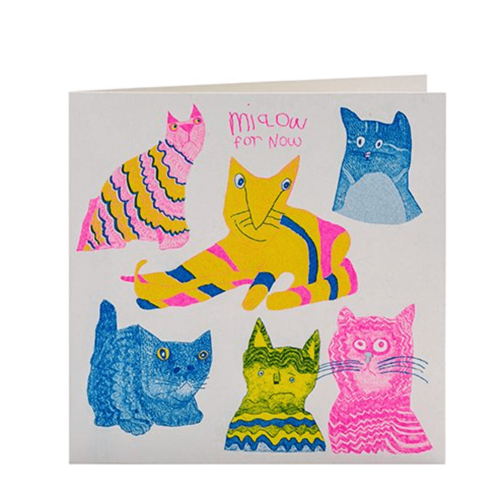 Miaow For Now Card