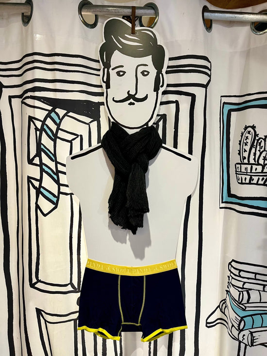 Botto Giuseppe Scarves Graphite Small Stripe Cashmere Scarf