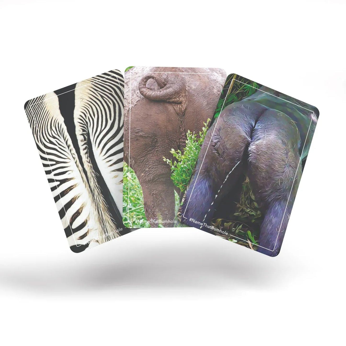 Bubblegum Stuff Card Games Name That Bumhole Card Game
