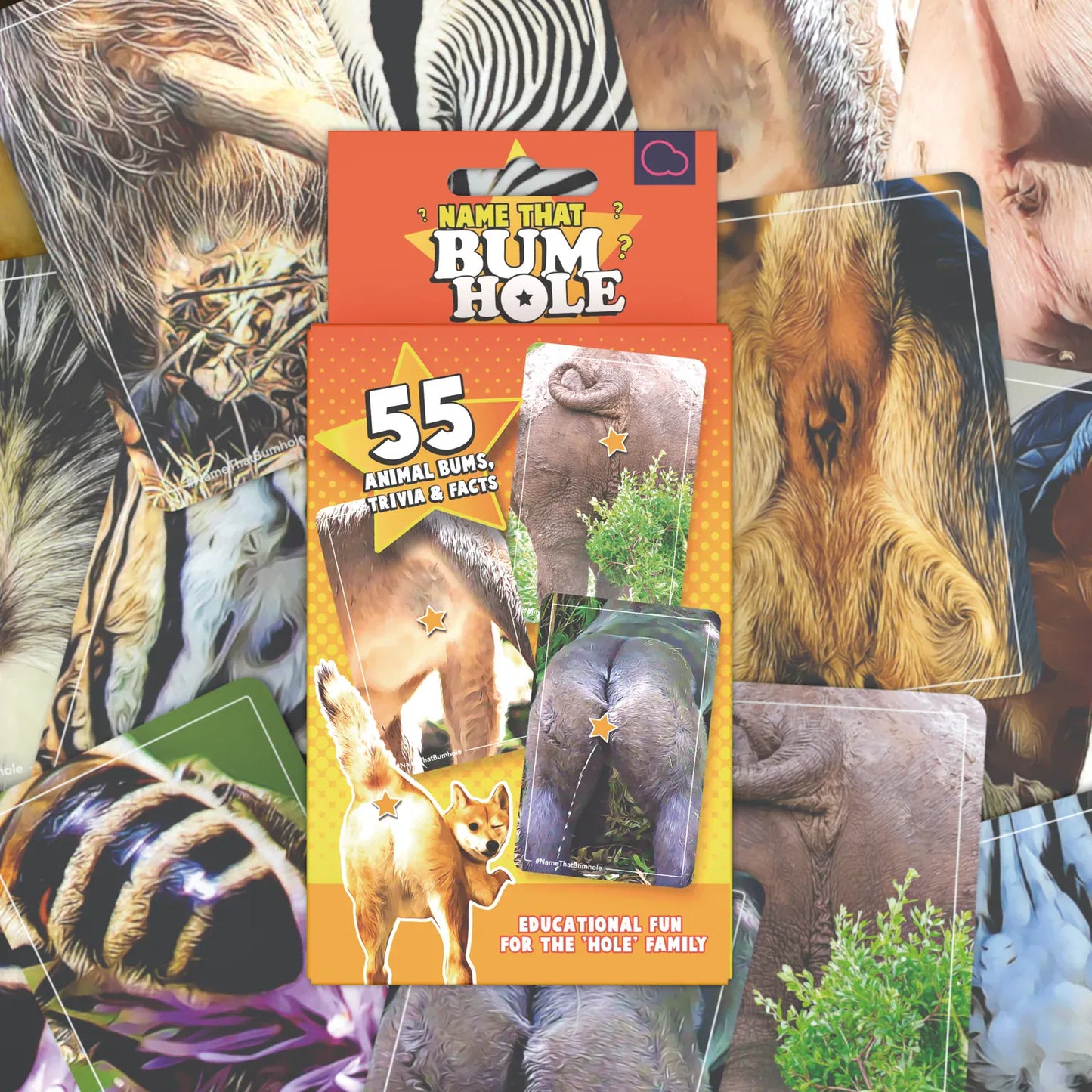 Bubblegum Stuff Card Games Name That Bumhole Card Game