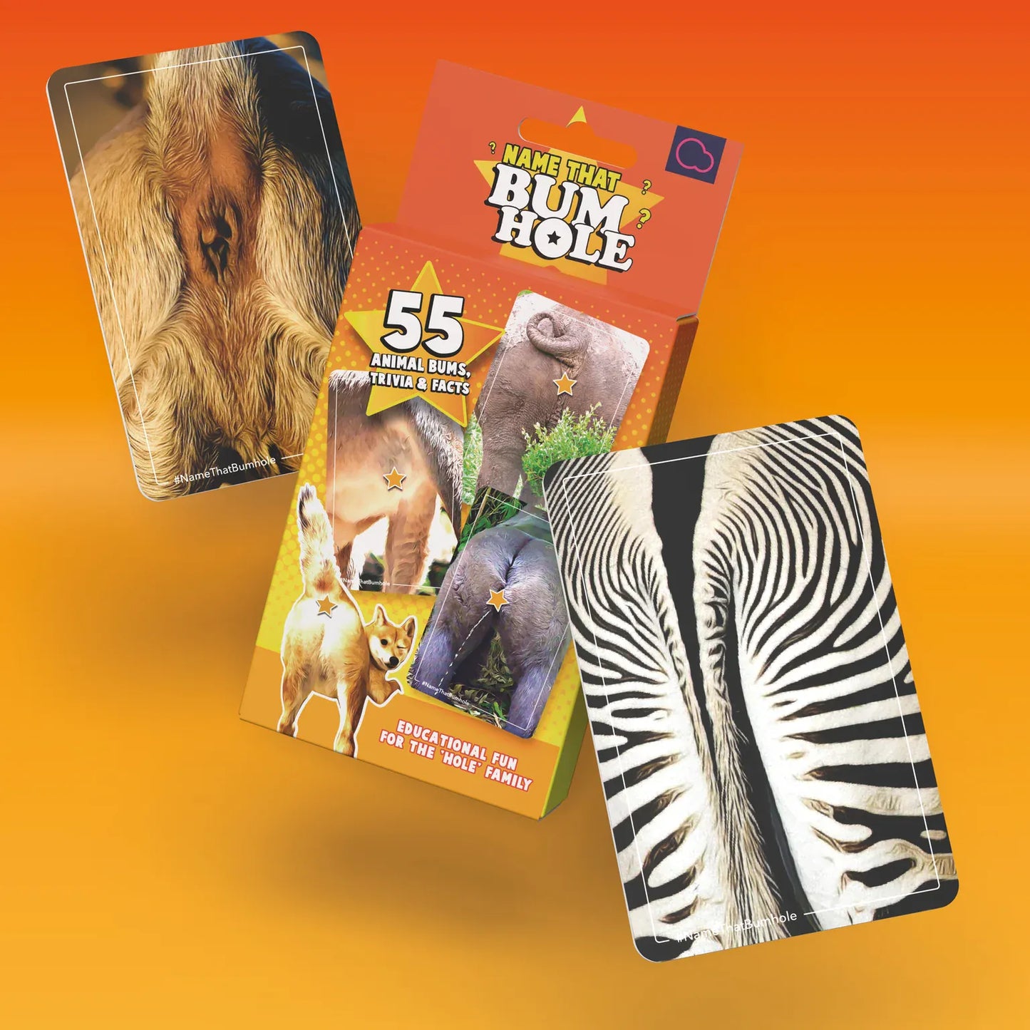 Bubblegum Stuff Card Games Name That Bumhole Card Game