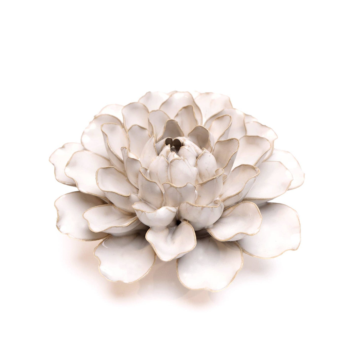 Chive English Garden Ceramic Flower White Water Lily