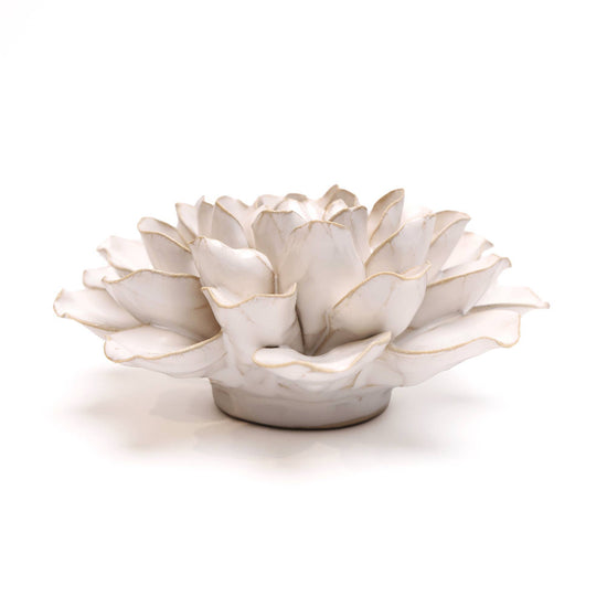 Chive English Garden Ceramic Flower White Water Lily
