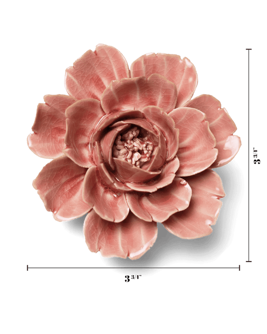 Chive English Garden Champagne Pink Rose