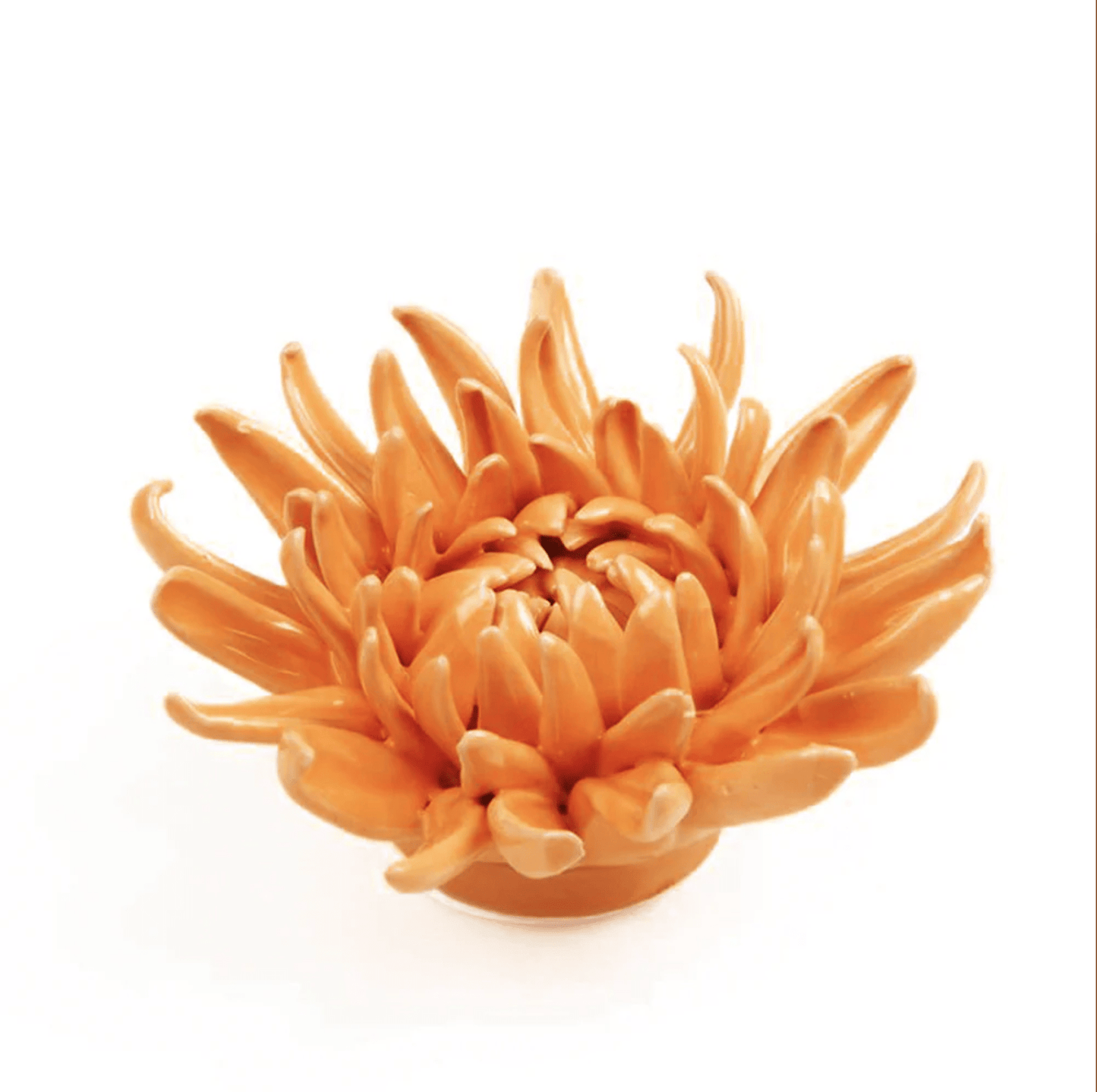 CHIVE Room Decor Orange Ceramic Succulent