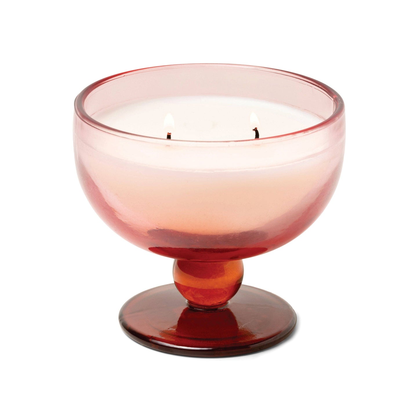 Designworks Collective Paddywax Aura Glass Candle - Rose & Red - Saffron Rose