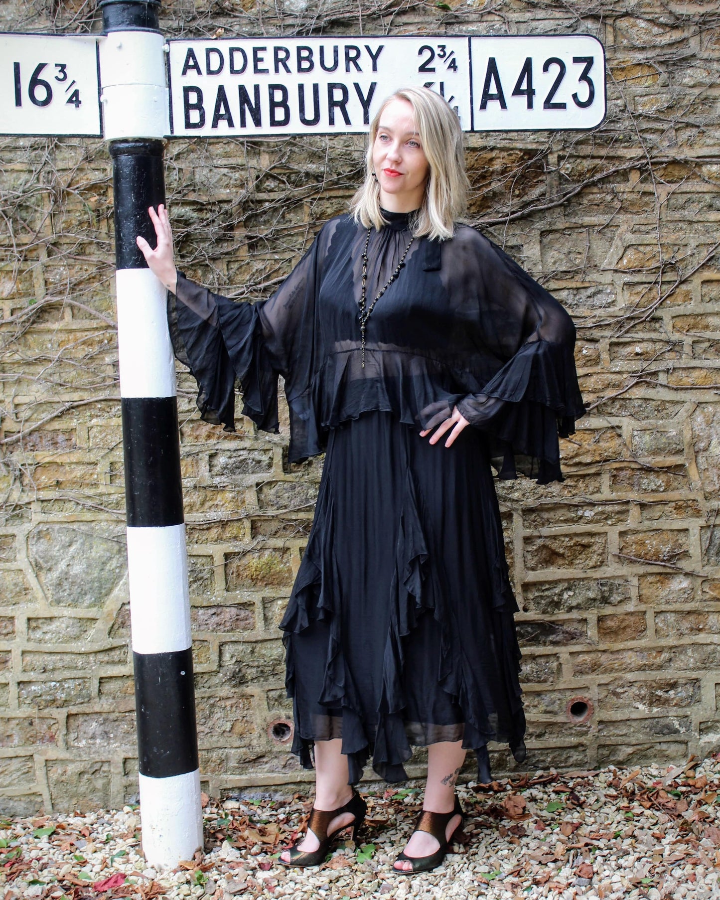 Dixie Tops Sheer Elegance Top