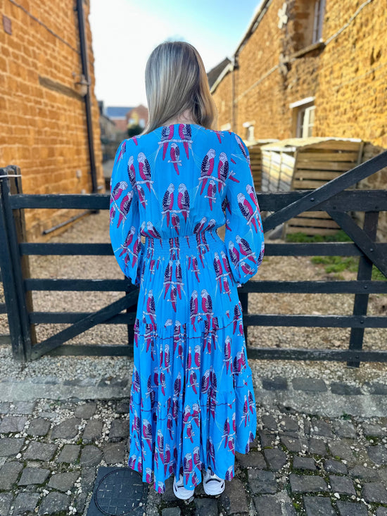 Feather & Find Dresses Intuitive Maxi Dress - Electric Bird