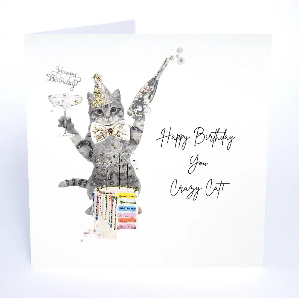 Five Dollar Shake Greetings Cards Happy Birthday You Crazy Cat! Card