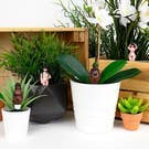 Gift Republic Mini Plant Pot Naked Ramblers