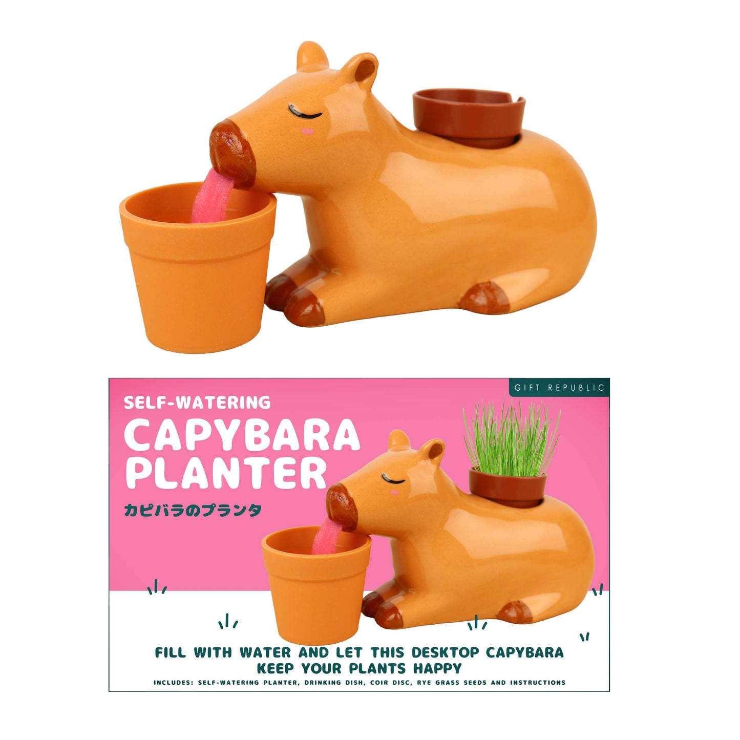 Gift Republic Self Watering Capybara Planters