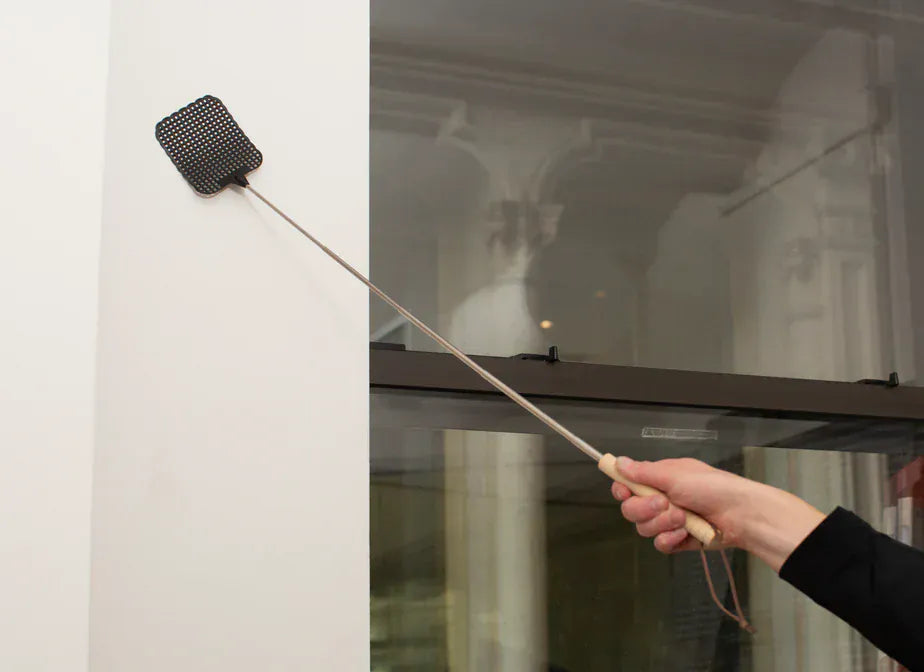 Kikkerland Gifts Telescopic Fly Swatter