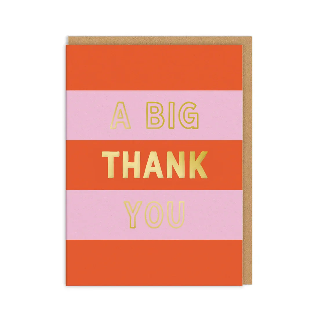 OHH DEER Greetings Cards A BIG THANK YOU - Cards multipack of 6