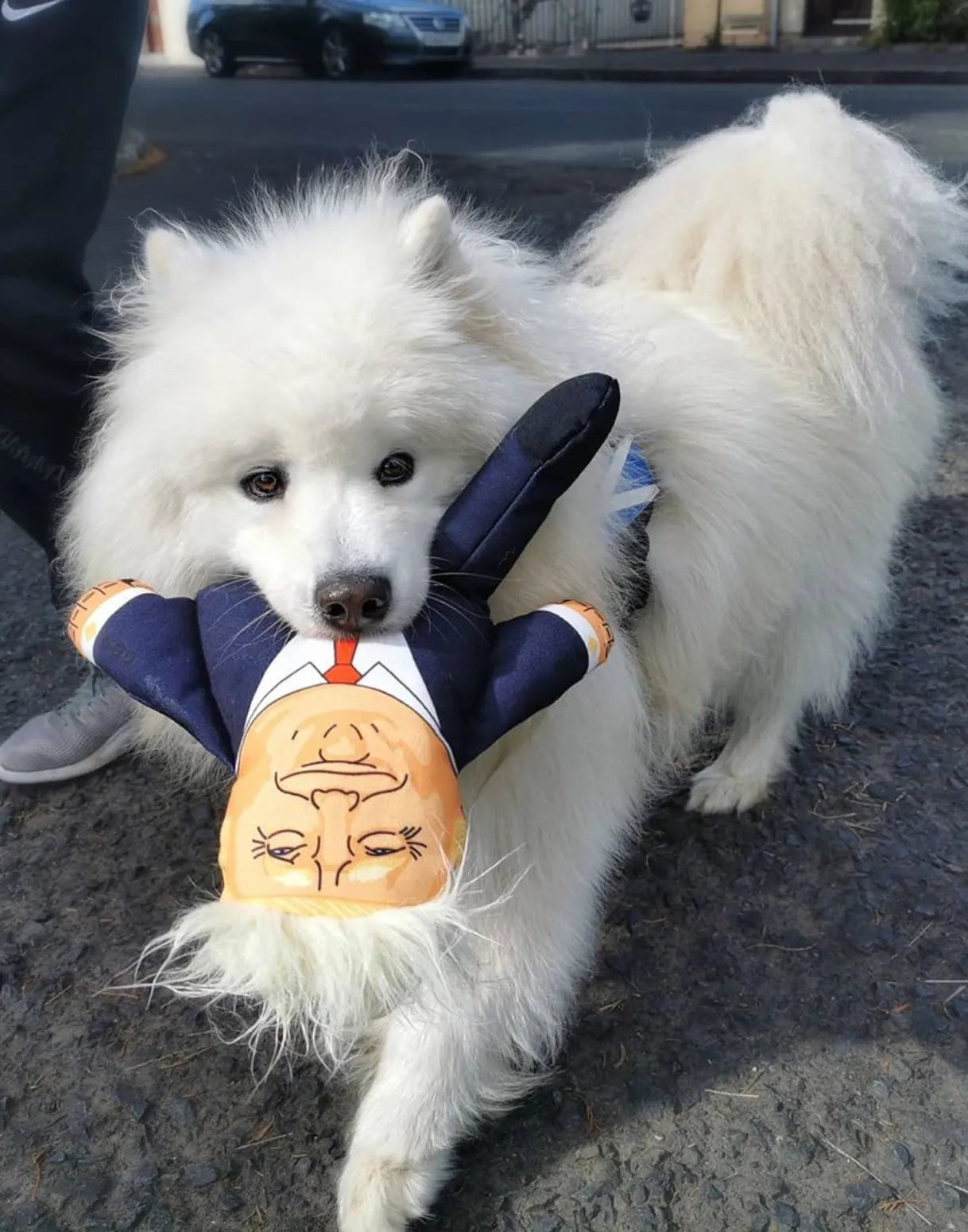 Pet Hates Toys Dog Toys Donald Dog Toy