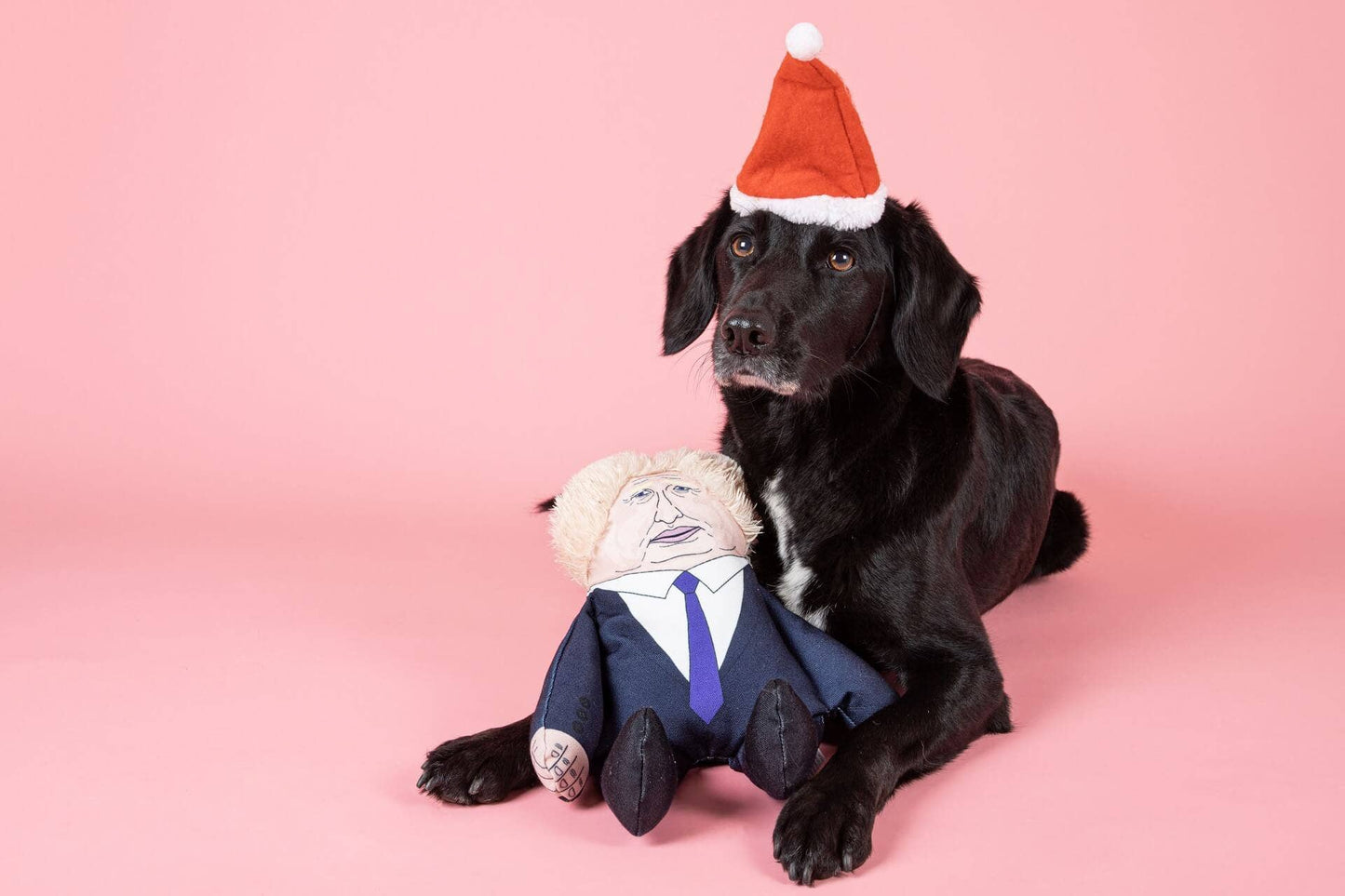 Pet Hates Toys Toys Boris dog toy: Regular