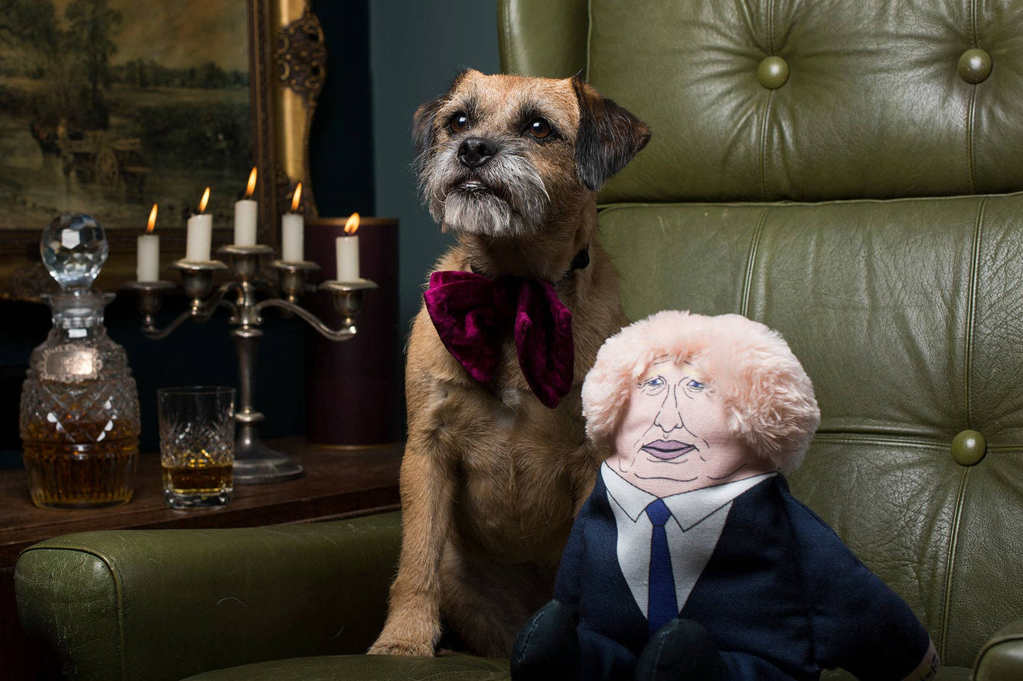 Pet Hates Toys Toys Boris dog toy: Regular