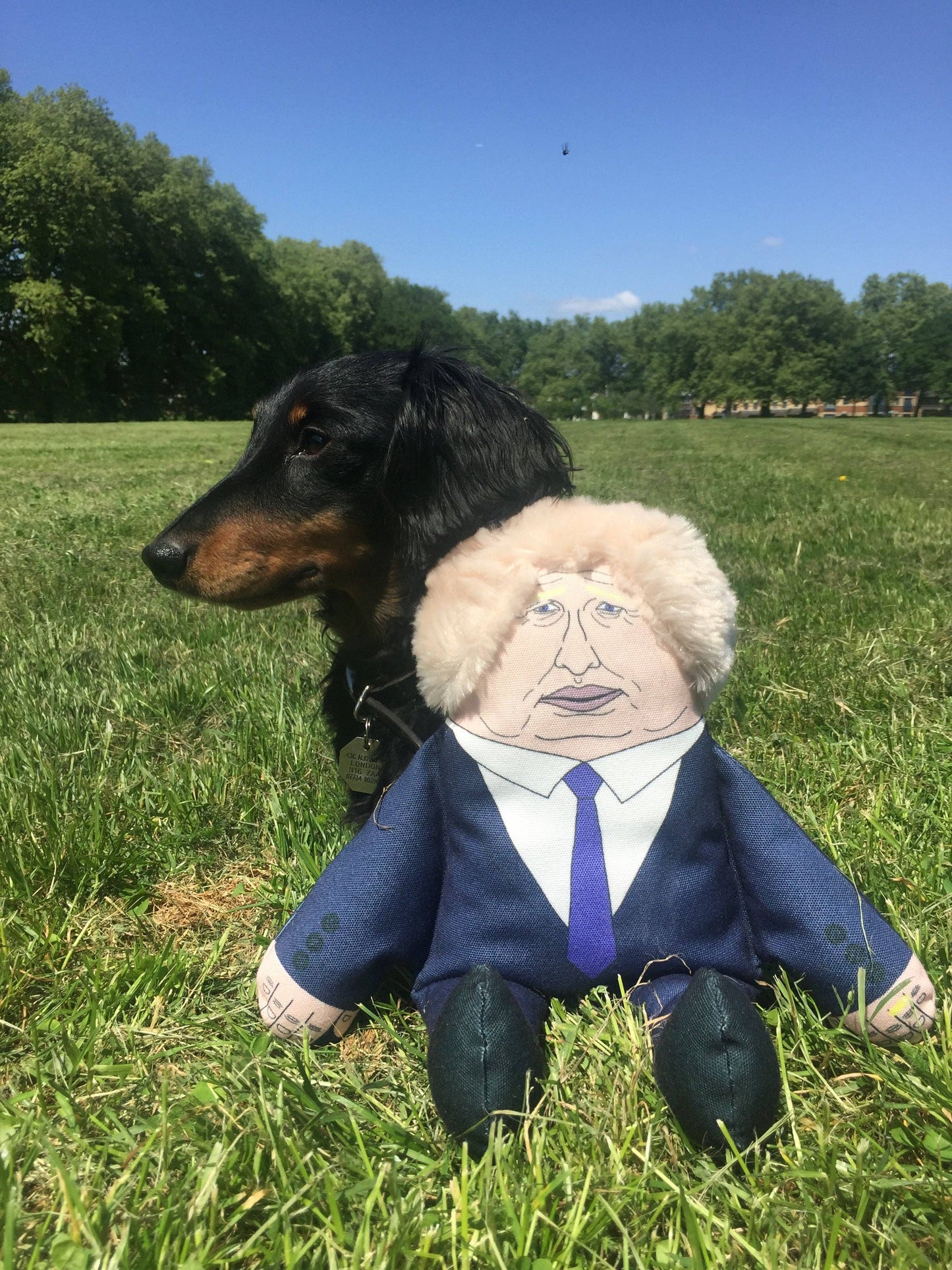 Pet Hates Toys Toys Boris dog toy: Regular
