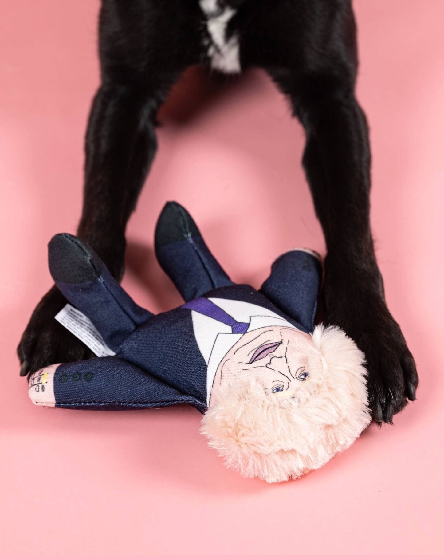 Pet Hates Toys Toys Boris dog toy: Regular