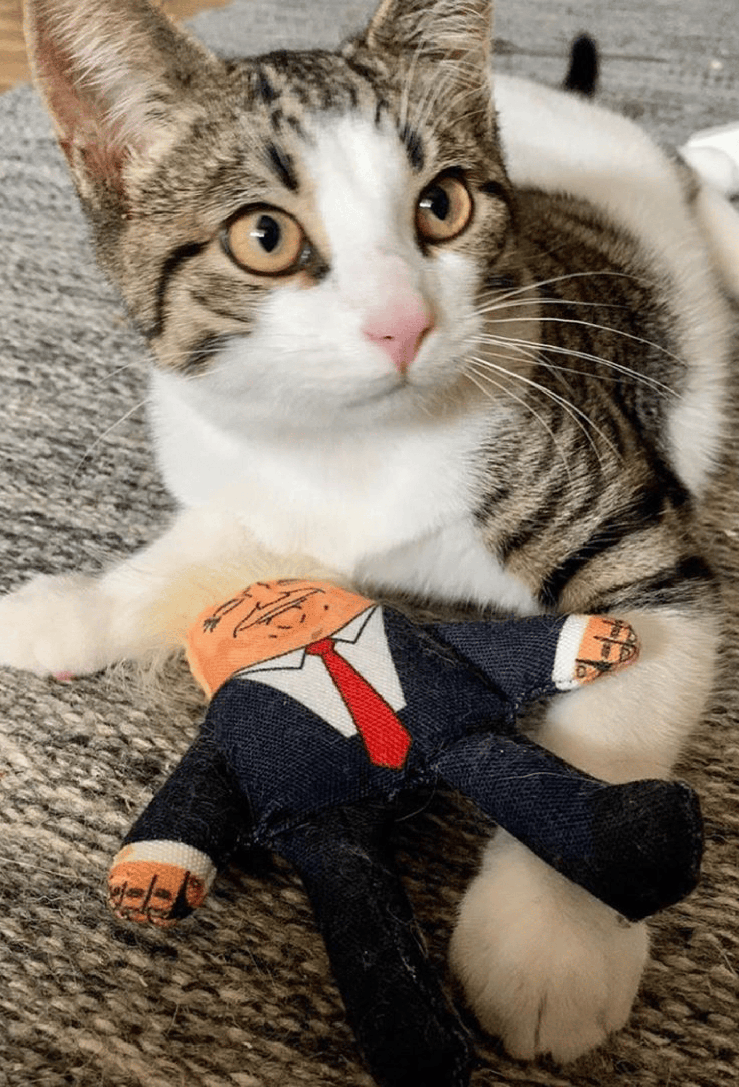 Pet Hates Toys Toys Donald Trump Cat Toy