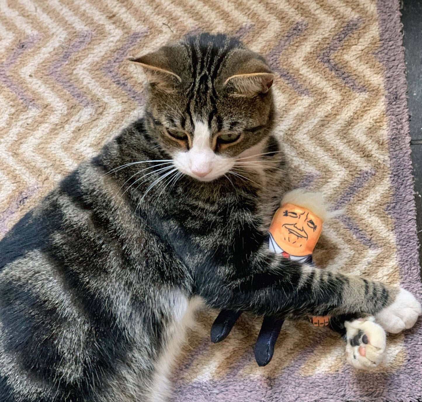 Pet Hates Toys Toys Donald Trump Cat Toy
