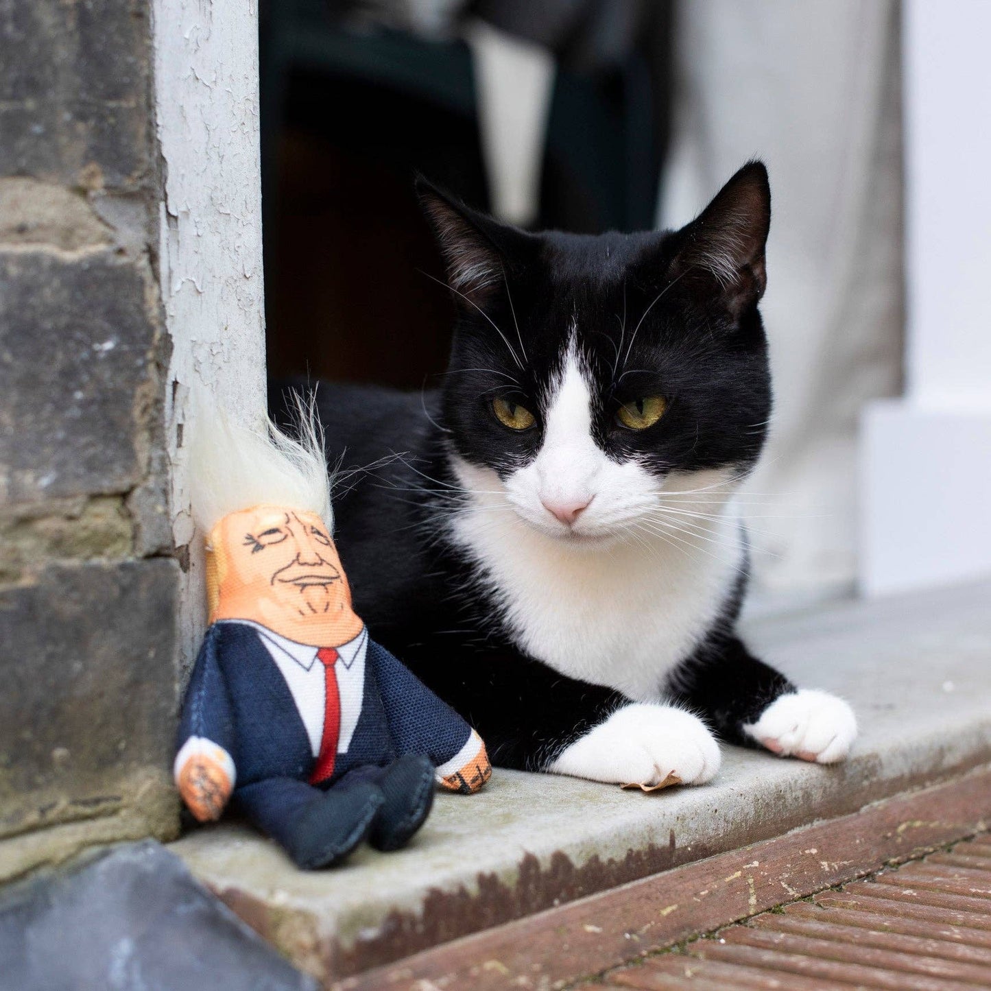 Pet Hates Toys Toys Donald Trump Cat Toy