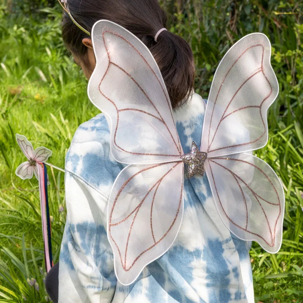 Rex London Festival Fairy wings - Fairies in the Garden