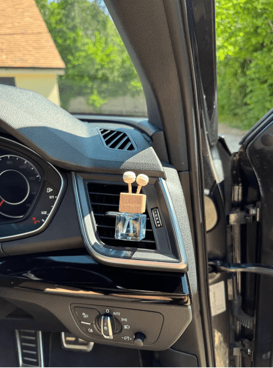 Rosy Roo Vehicle Air Fresheners Car Diffuser Ocean Breeze