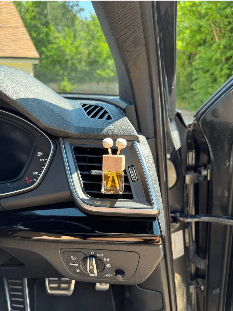 Rosy Roo Vehicle Air Fresheners Citrus & Spice Car Diffuser