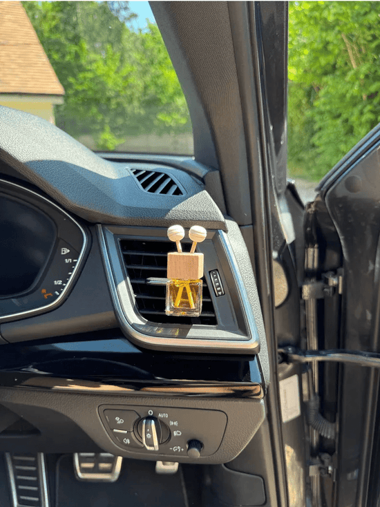 Rosy Roo Vehicle Air Fresheners Citrus & Spice Car Diffuser