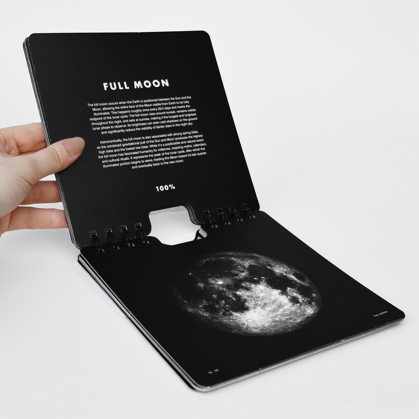 Suck UK Calendar Perpetual Moon-Phases Flip Calendar.