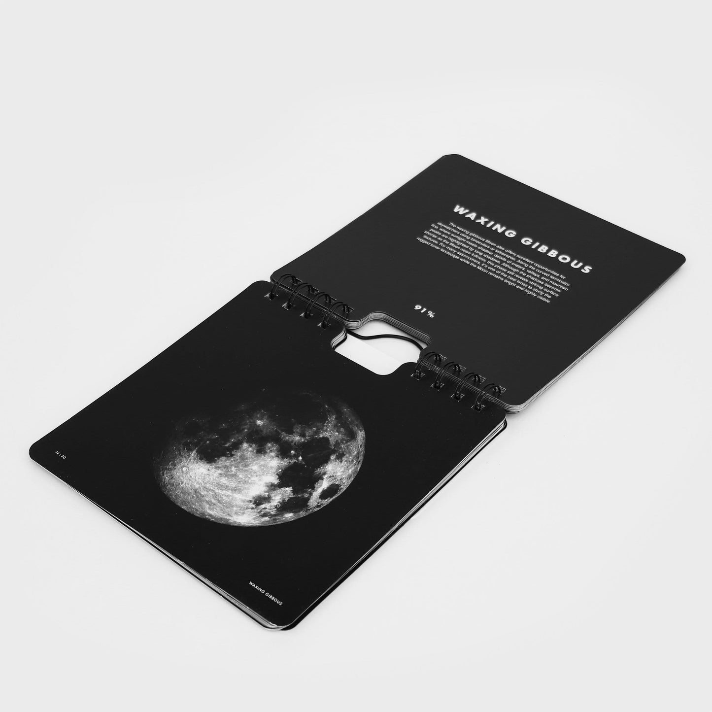 Suck UK Calendar Perpetual Moon-Phases Flip Calendar.