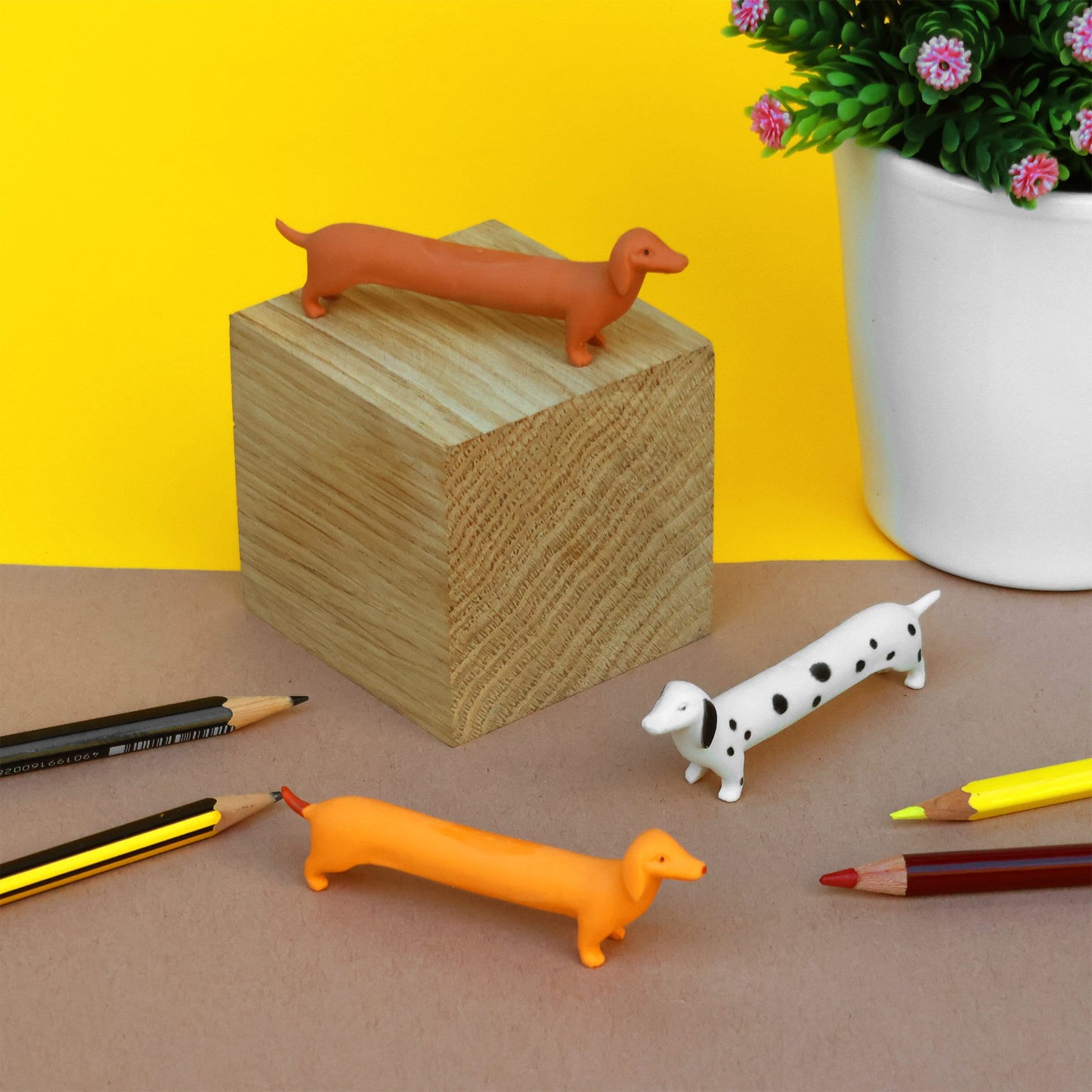 Suck UK Erasers Cat & Dog Erasers
