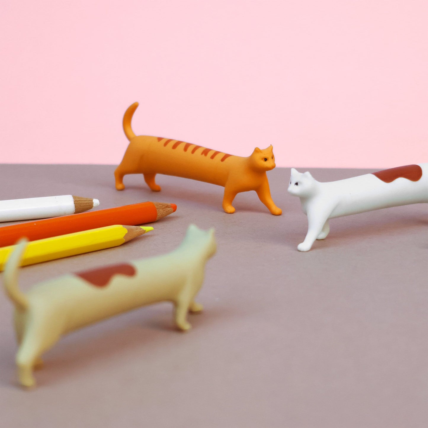 Suck UK Erasers Cat & Dog Erasers