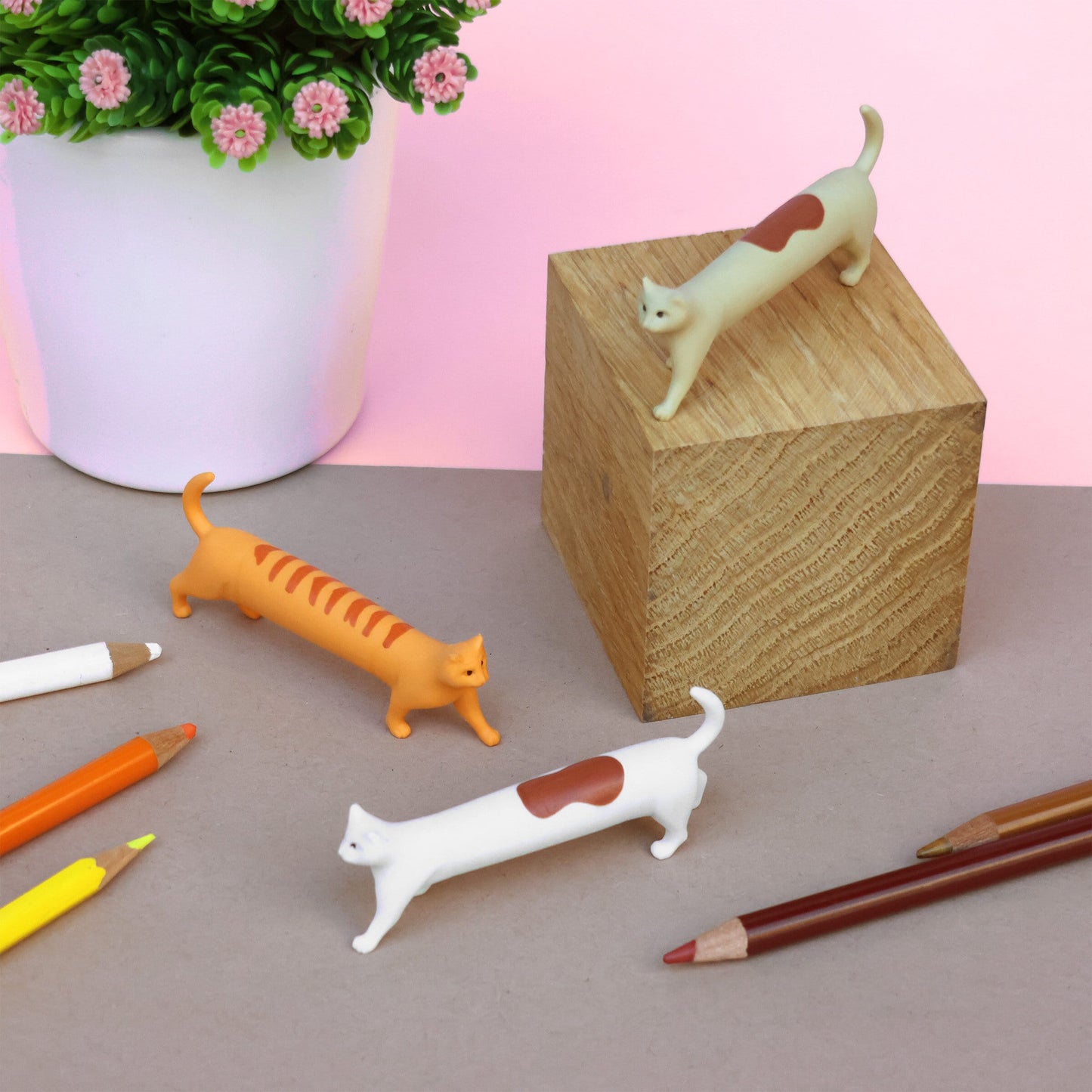 Suck UK Erasers Cat & Dog Erasers