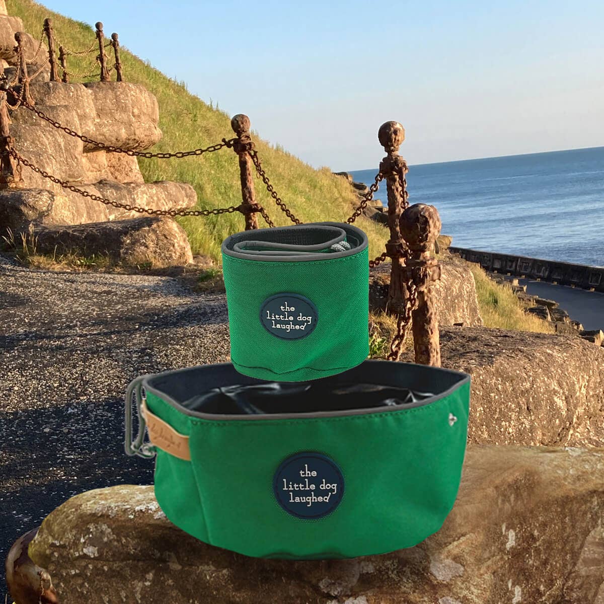 The Little Dog Laughed Folding Travel Bowl | Green | WINNERS GotY2026