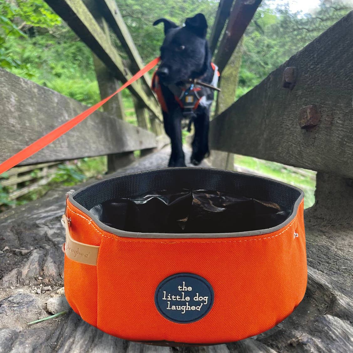The Little Dog Laughed Folding Travel Bowl | Orange | WINNERS GotY2026