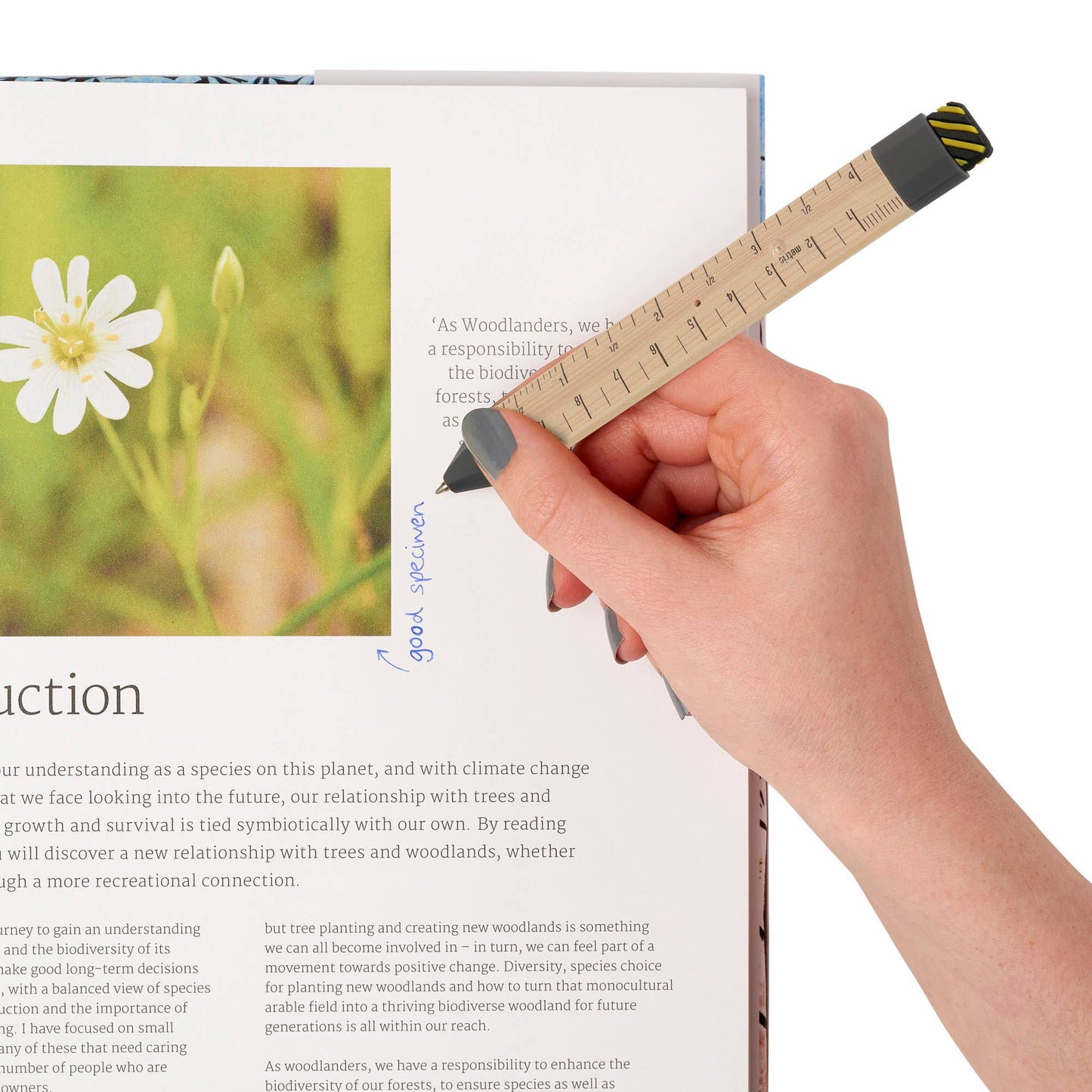 Thinking Gifts Company Ltd (UK) PenMark - Ruler