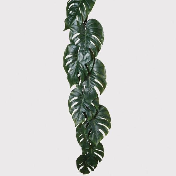 Home Philodendron Garland